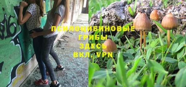 винт Верхний Тагил
