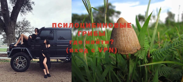 дурь Верея