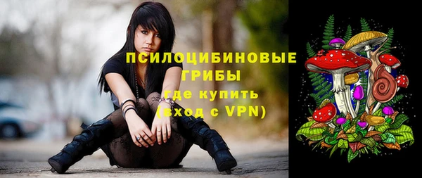 винт Верхний Тагил