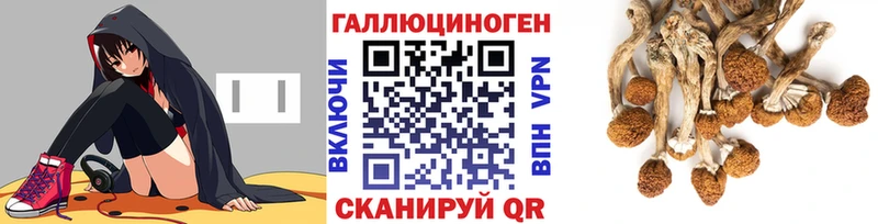Псилоцибиновые грибы Cubensis  Верещагино 